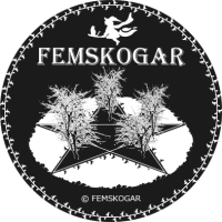 マジカルにBrandディレクション「FEMSKOGAR」